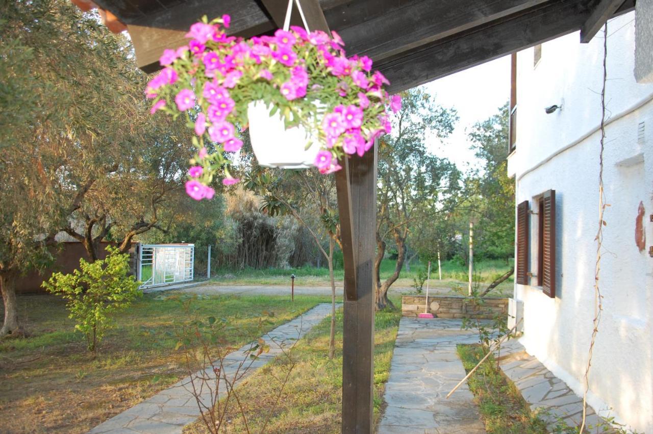 Villa Miranda Nikiti  Exterior photo